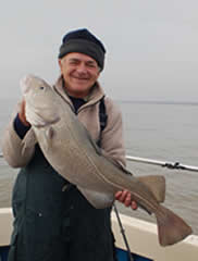 Cod Fishing, Chris Mole Charter Boat Hire offers the very best tope fishing available from the Essex Coast Area