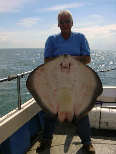 Skate Fishing, Chris Mole Charter Boat Hire offers the very best tope fishing available from the Essex Coast Area