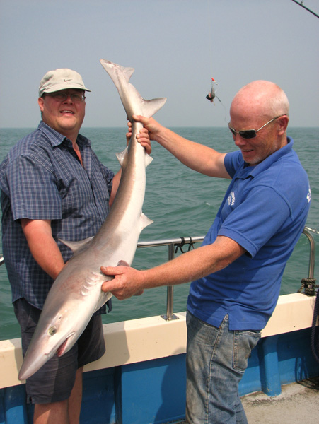 Tope Fishing from Chris Mole Charter Boat